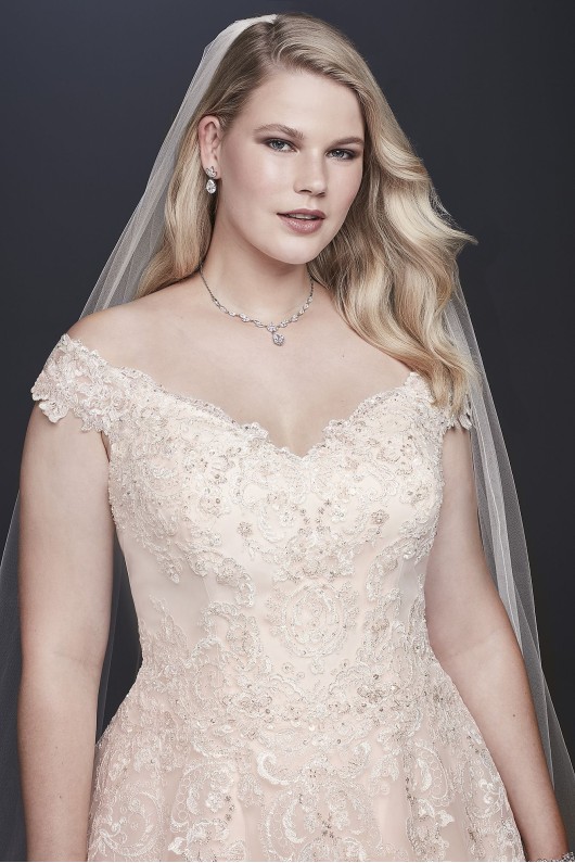 Off-the-Shoulder Applique Plus Size Wedding Dress Collection 9WG3940
