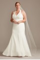 Plus Size Long Fit and Flare V neck Sheer Back Wedding Dress with Lace Train 9WG3989